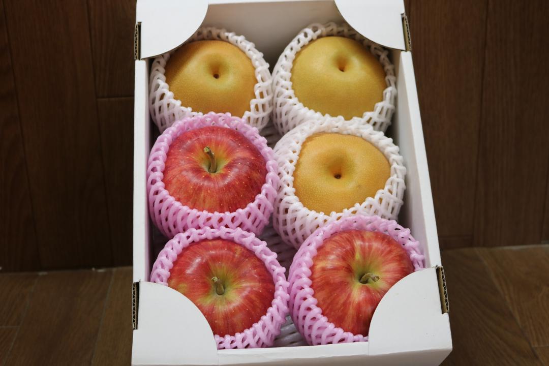 新品　和光　FRUTTA リンゴ 小岩井 純水りんご ( 430ml×24本入 )/ : 爽快ドリンク専門店